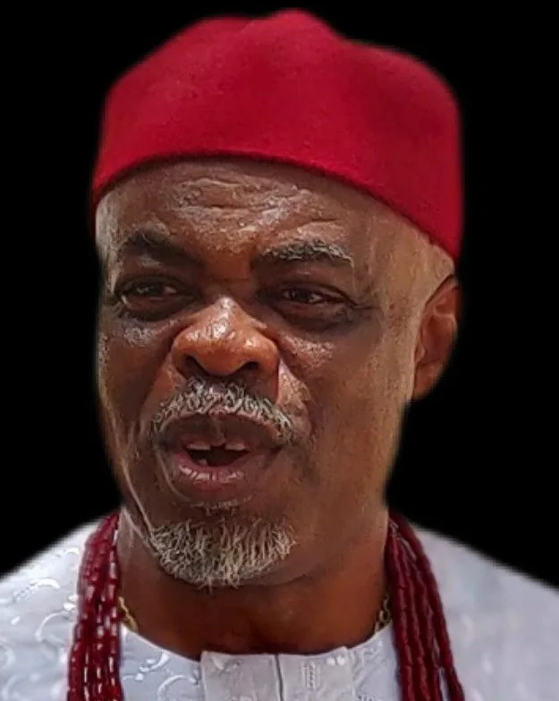 HRM Igwe Godwin Nnaemeka Obiora